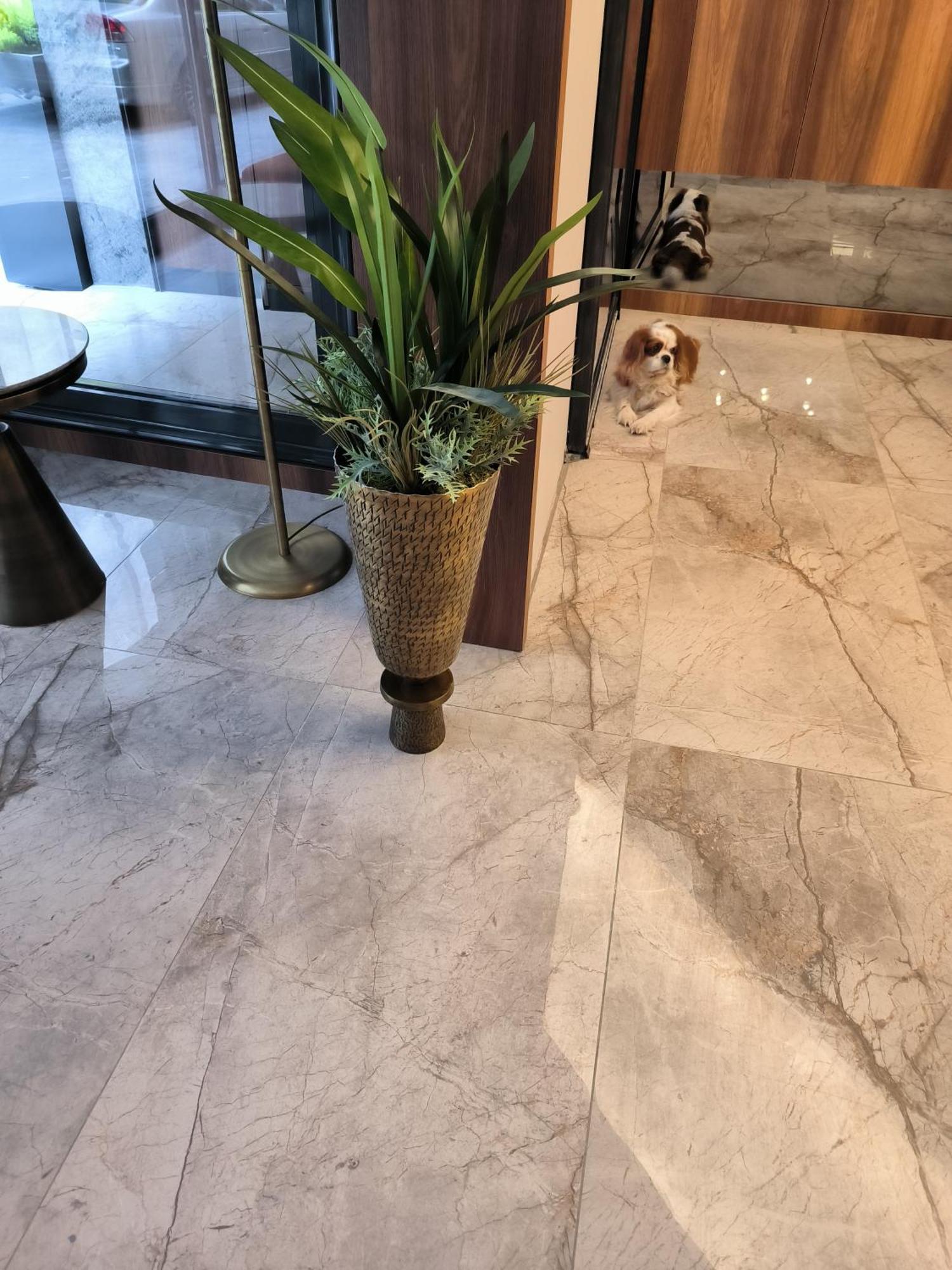 Roi Hotel إزمير المظهر الخارجي الصورة